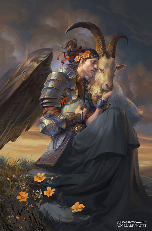 //Strength Tarot