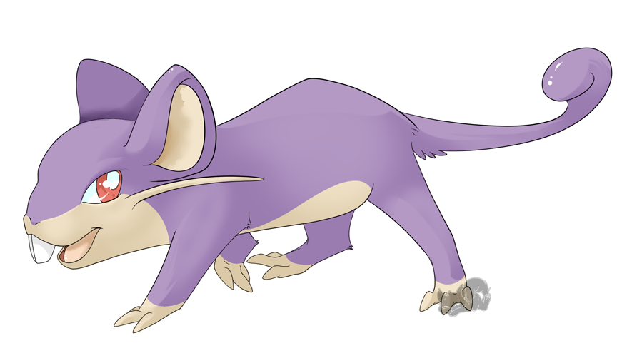 Nr.19 Rattata