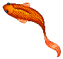 Fishy Fish Fish