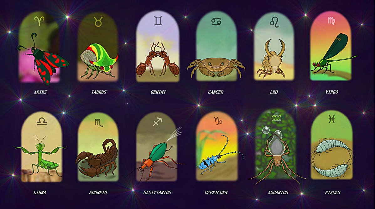 Star Bug Sign Zodiac bugs 60 photos - Astrologytoyou.com