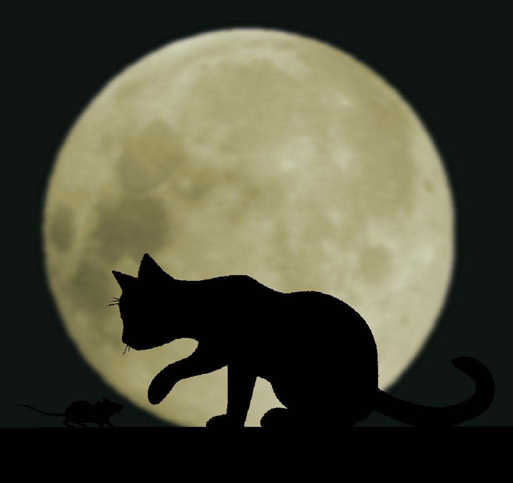 MoonlightShadows Cat