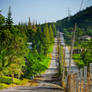 Country Road With Morning Light