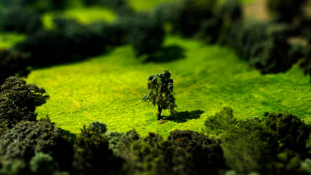 Tilt Shift Meadow 1920x1080