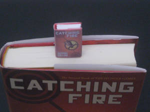 Mini Catching Fire