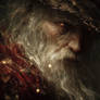 Ancient Wizard (24)