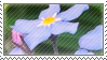 flower stamp 1
