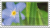 flower stamp 3