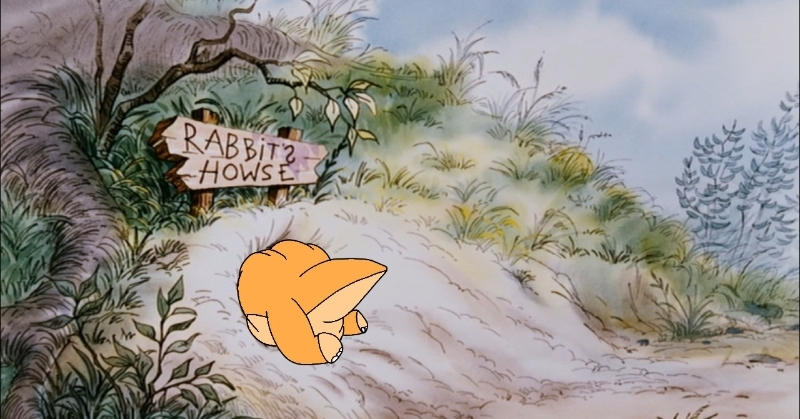A closer look at Rabbit Housebreaking Regret