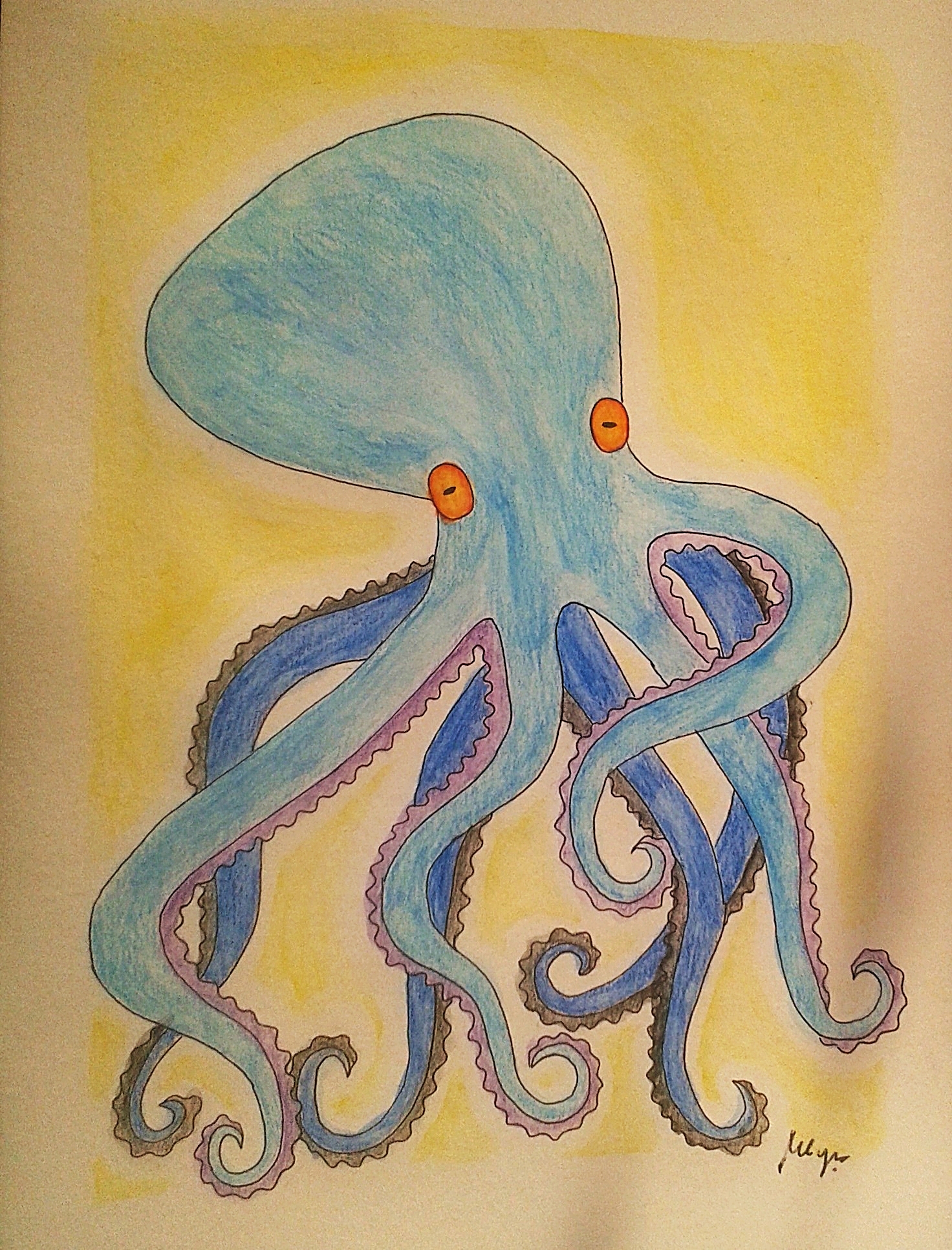 Octopus