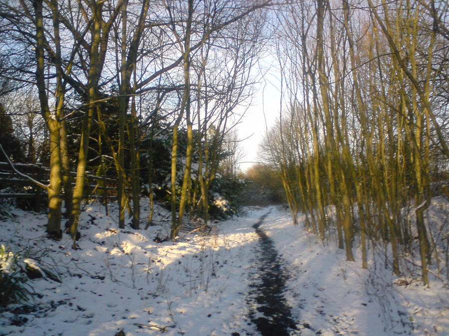 Spring/winter Halwf Way Winter Walkway by DREdwards93 on DeviantArt