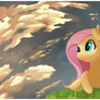 Fluttersky