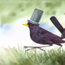 Sir Blackbird