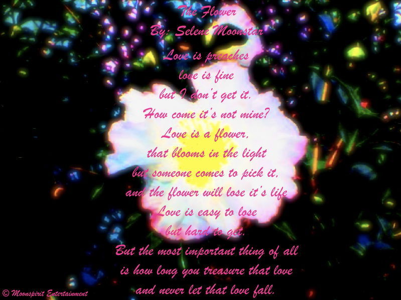 The Flower By Moonspirit10 On DeviantArt