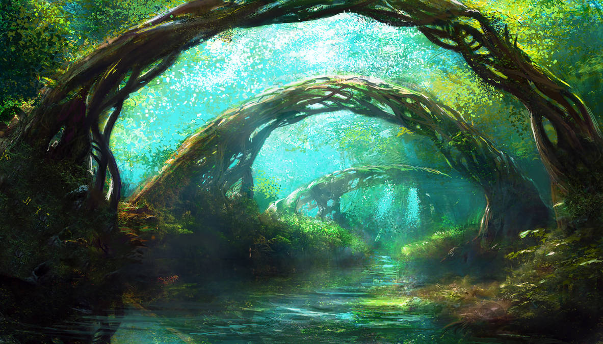 Forest 2 by Edli on DeviantArt