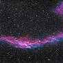 The Network Nebula NGC 6992