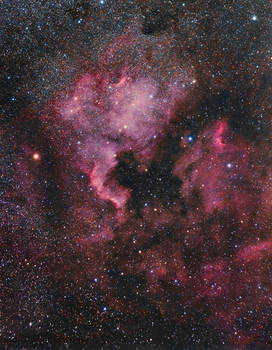 The North America Nebula