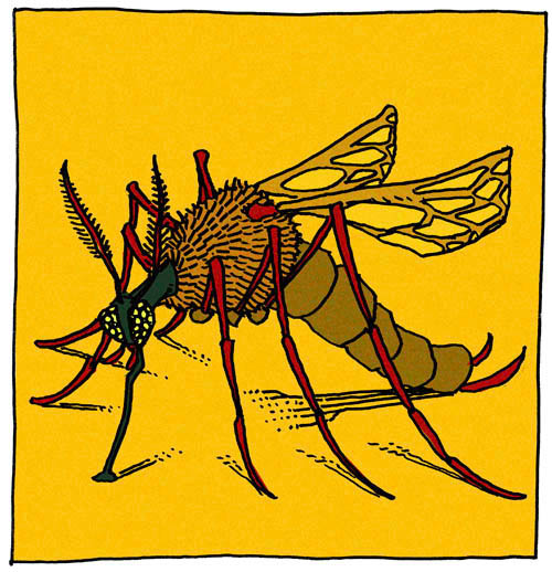 MOSQUITO