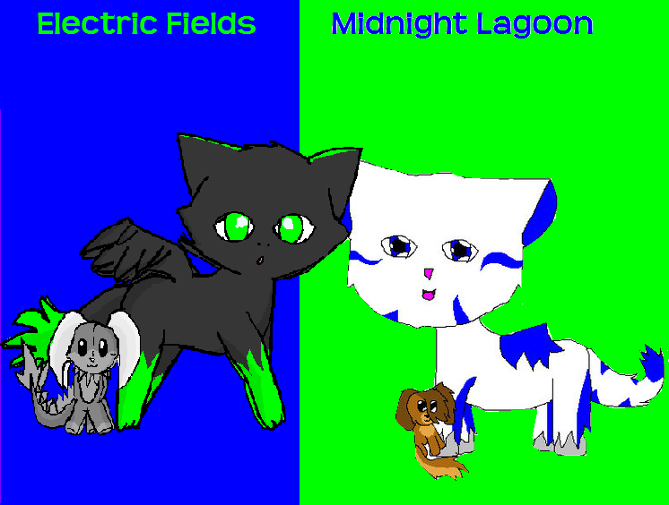 MidnightLagoonXElectricFields