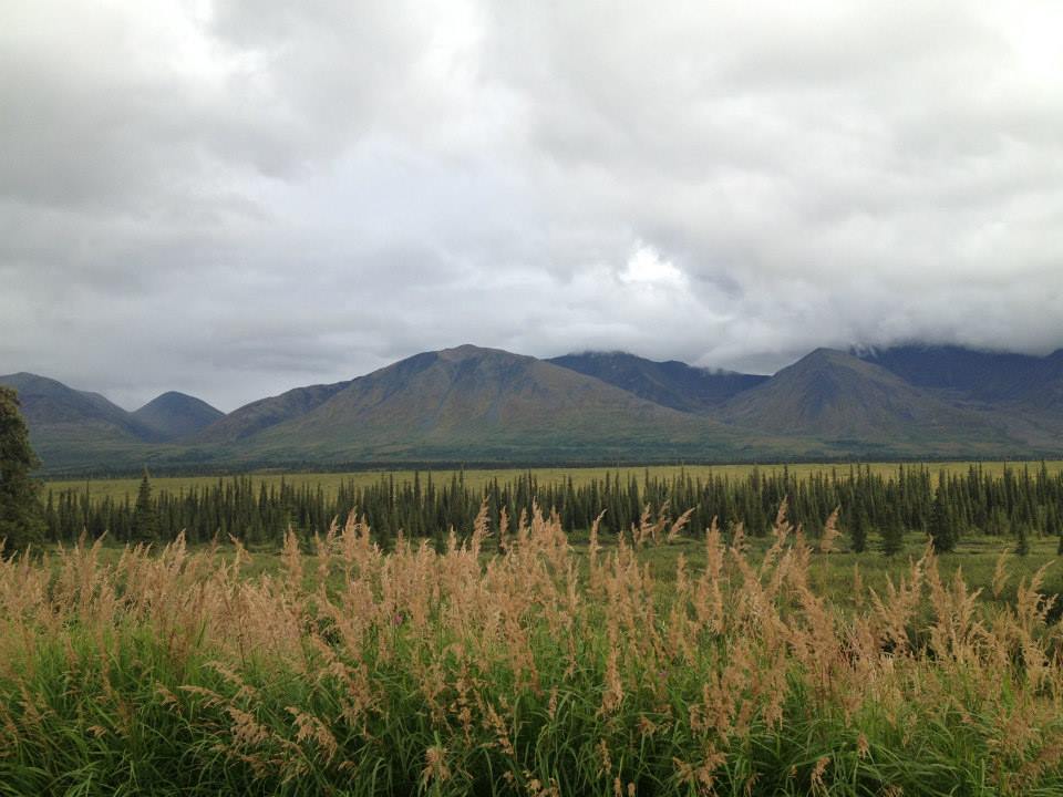 Alaskan Landscape