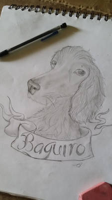Baguiro