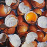 Eggshells