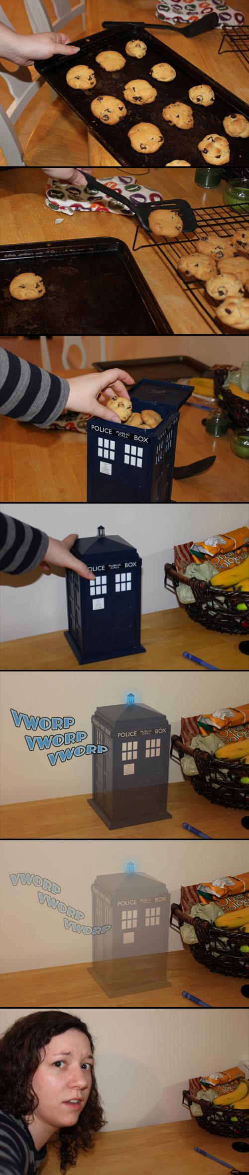 TARDIS took my Cookies...