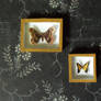 Miniature Riker Mounts - Moth and Butterfly