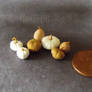 Miniature Gourds And White Pumpkins Lot