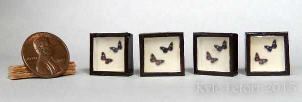 Miniature Heliconidae Butterflies dark brown frame