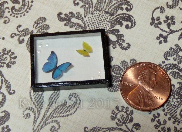 Mini Morpho and Tailed Sulphur Butterfly Display