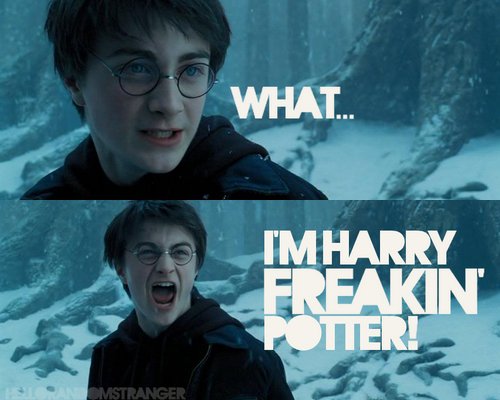 Harry Freakin Potter