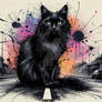 Black Cat 6