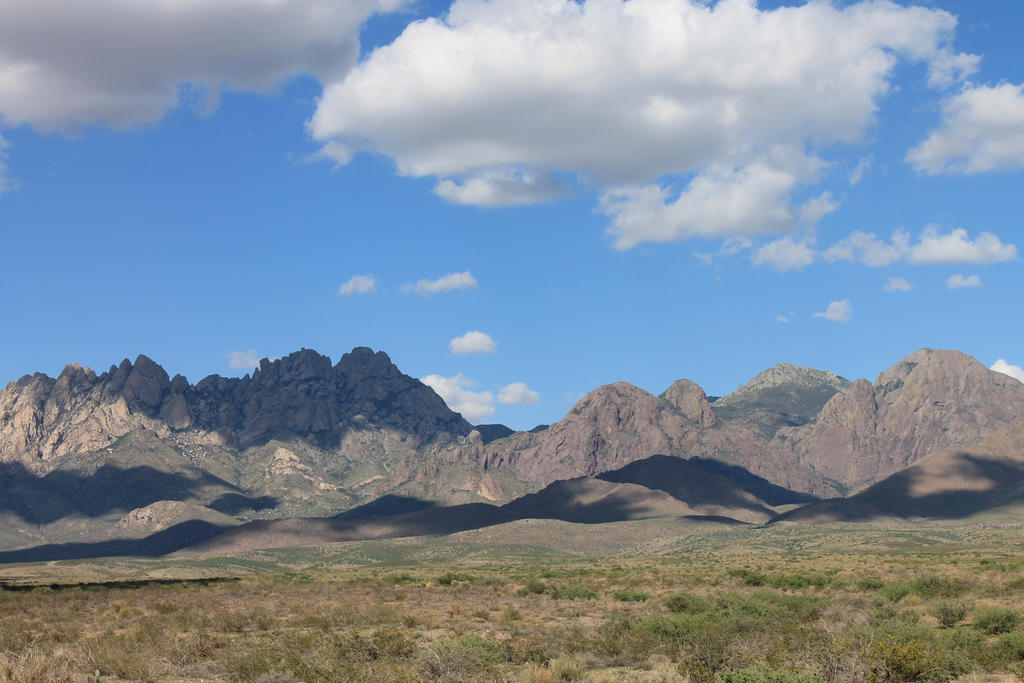 The Organ Mountains