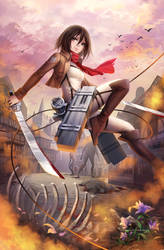 Mikasa