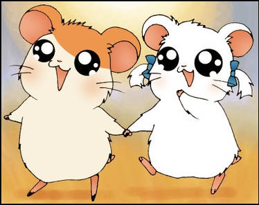 Hamtaro and Bijou