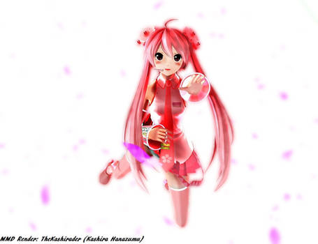 [ MMD ] YYB Sakura Miku