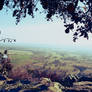 Petit Jean Overlook 2