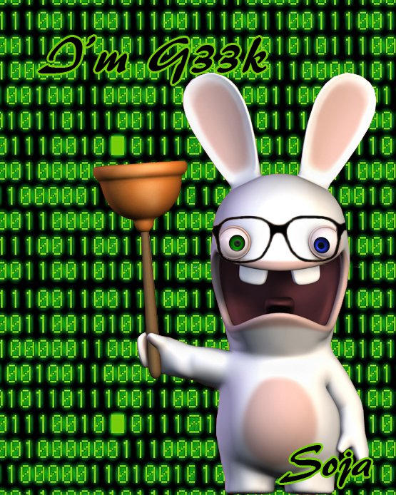 Geeky Rabbit Raving rabbit ~ geek by shigoama on DeviantArt