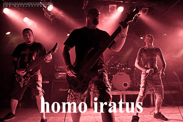 homo iratus