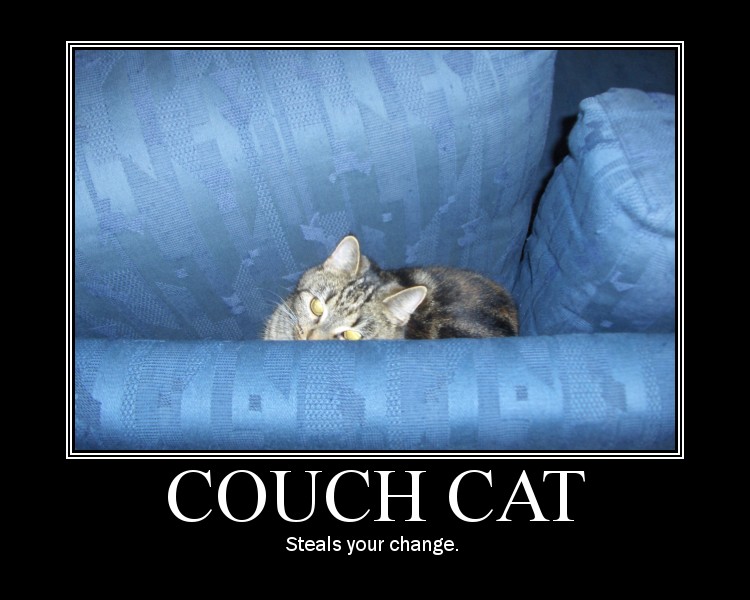 Couch cat