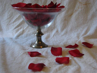 Rose Petals in a Bowl Stock 1