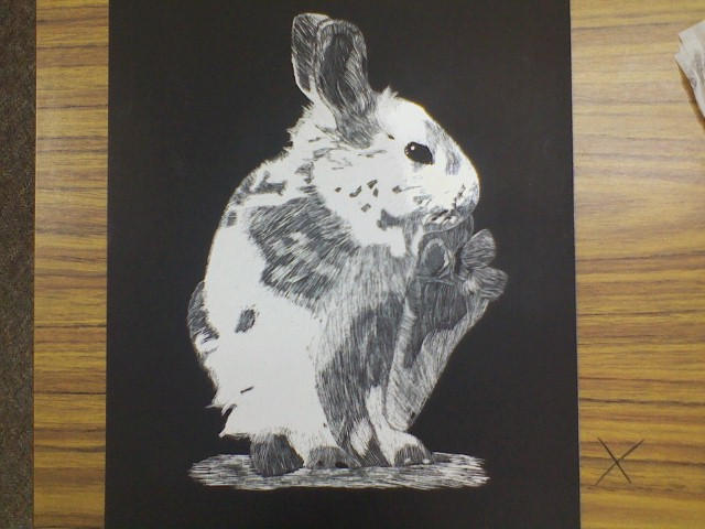 Scratchboard Rabbit Scratchboard Bunny by quietgirl294 on DeviantArt