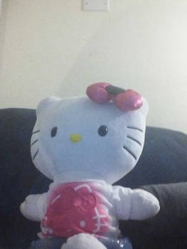 My Hello Kitty!