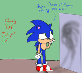 Sonic's Shadow