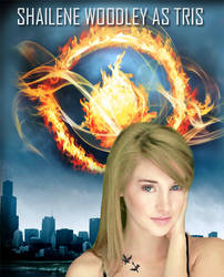 Tris-Divergent Fan Art (2012)