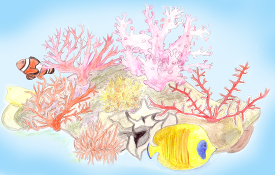 Coral Reef (2015)