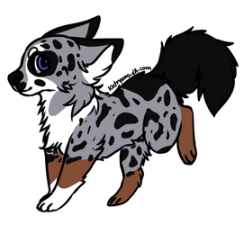 Dog Adopt (OPEN)