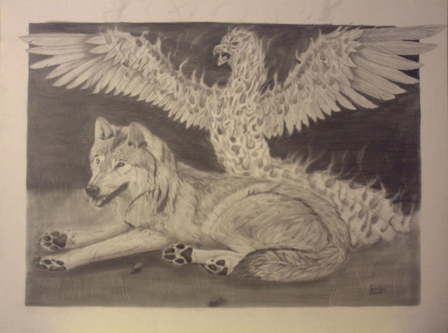 Phoenix Wolves wolf and phoenix by wolvesrain17 on DeviantArt