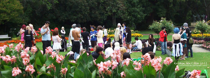 Auckland Cosplay Picnic