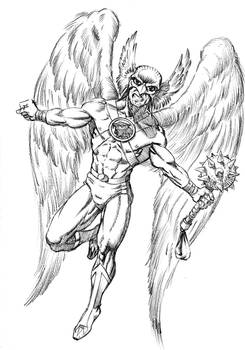 Hawk Man commission